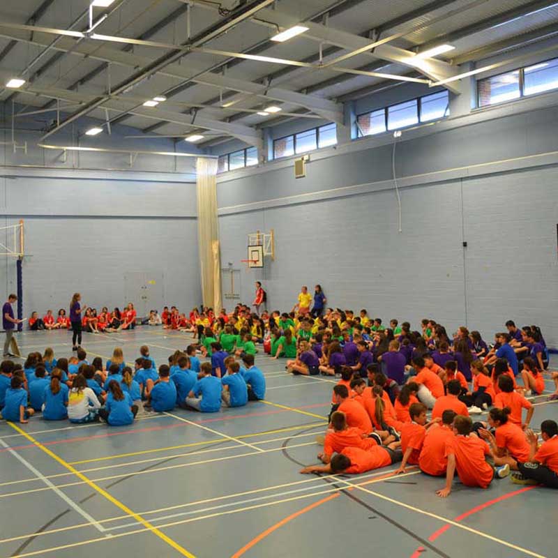 </p>
<h3>INSTALACIONES</h3>
<p>